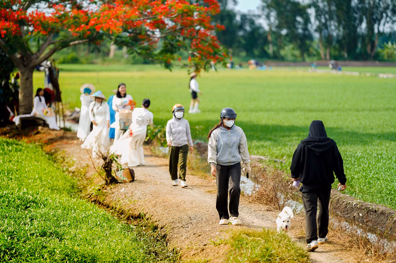 Không chỉ có sinh viên, nhiều nhiếp ảnh gia nghiệp dư cũng tranh thủ đến ghi lại khoảnh khắc chớm hè Không chỉ có sinh viên, nhiều nhiếp ảnh gia nghiệp dư cũng tranh thủ đến ghi lại khoảnh khắc chớm hè