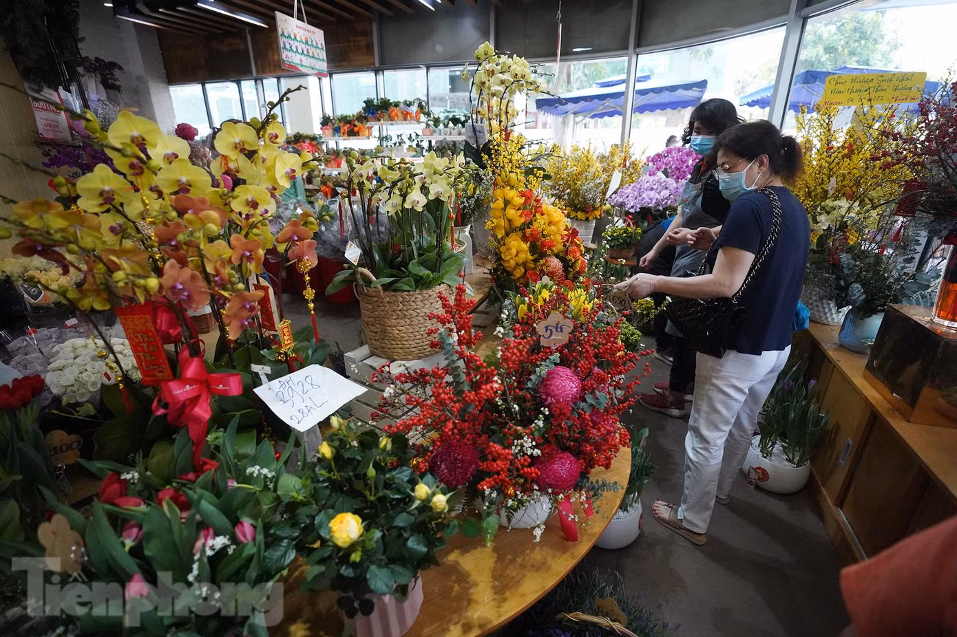 Hai dãy kệ dài ngay cửa ra vào được sử dụng làm nơi trưng bày các chậu hoa dịch vụ giá từ vài triệu đến trên hơn chục triệu. Hai dãy kệ dài ngay cửa ra vào được sử dụng làm nơi trưng bày các chậu hoa dịch vụ giá từ vài triệu đến trên hơn chục triệu.