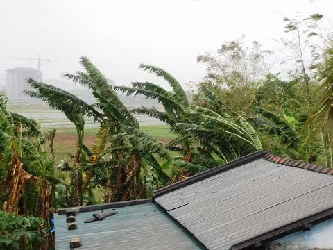 Vùng đất liền xuất hiện mưa gió từ sáng sớm 10/11, nhưng chưa đủ mạnh để gây hại