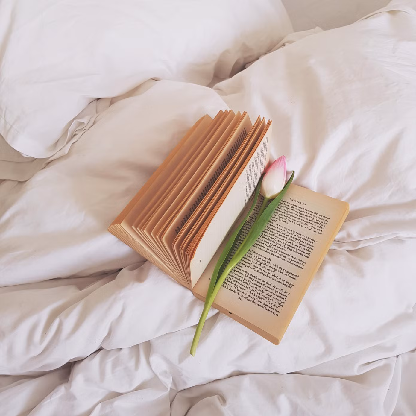 Bởi vì làm mọi thứ theo thói quen sẽ trở thành bản năng và cần ít động lực hơn.