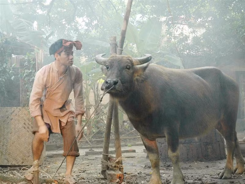 Xuân Bắc trong DVD hài Cả Ngố. Ảnh: Bích Ngà