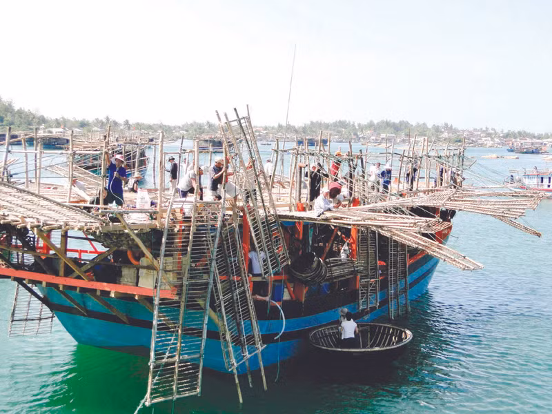Dựng giàn phơi mực trước giờ xuất bến. Ảnh: Hải Anh
