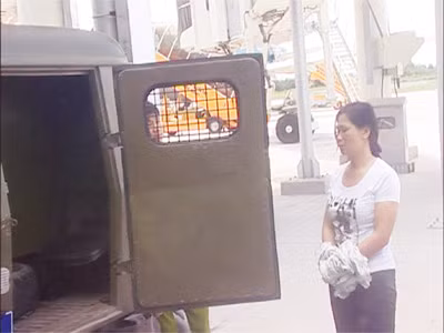 Dẫn giải La Thị Thịnh từ Hà Nội vào Cần Thơ phục vụ công tác điều tra. Ảnh do Cơ quan điều tra cung cấp