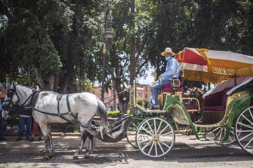 Các xe ngựa ở Marrakech, Morocco gần như không có khách trong đại dịch (Ảnh: AP). Các xe ngựa ở Marrakech, Morocco gần như không có khách trong đại dịch (Ảnh: AP).