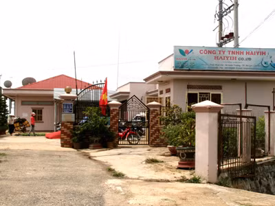 Cty TNHH Haiyih được xác định đã có hành vi chuyển giá. Ảnh: Kim Anh