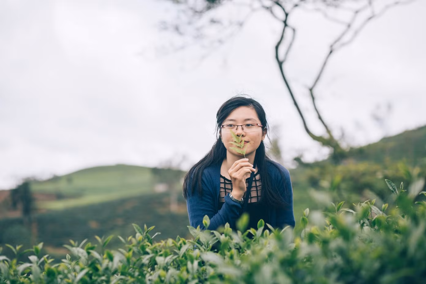 Cô chủ cửa hàng "hoa bánh kẹo" Hoài Hân. Cô chủ cửa hàng "hoa bánh kẹo" Hoài Hân.