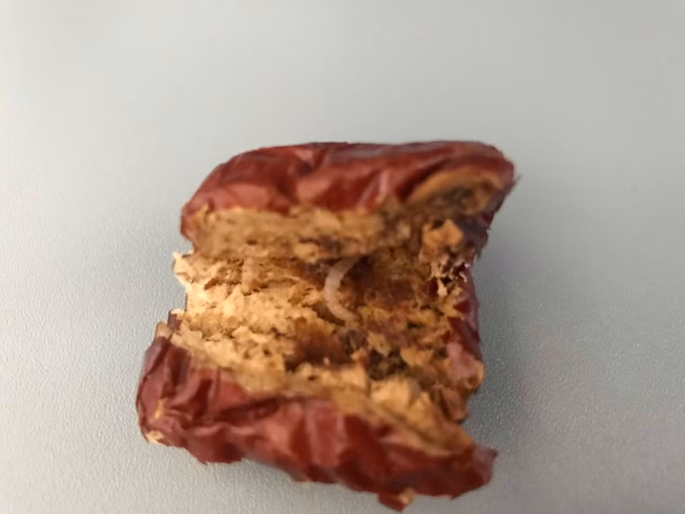 Dòi có trong suất ăn, hãng hàng không nói gì? ảnh 2 Dòi có trong suất ăn, hãng hàng không nói gì? ảnh 2