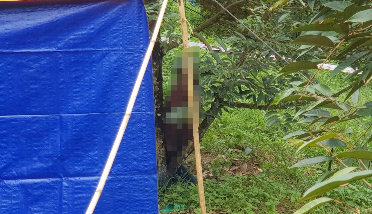 Nơi phát hiện người đàn ông tử vong trong tư thế treo cổ trên cây Nơi phát hiện người đàn ông tử vong trong tư thế treo cổ trên cây