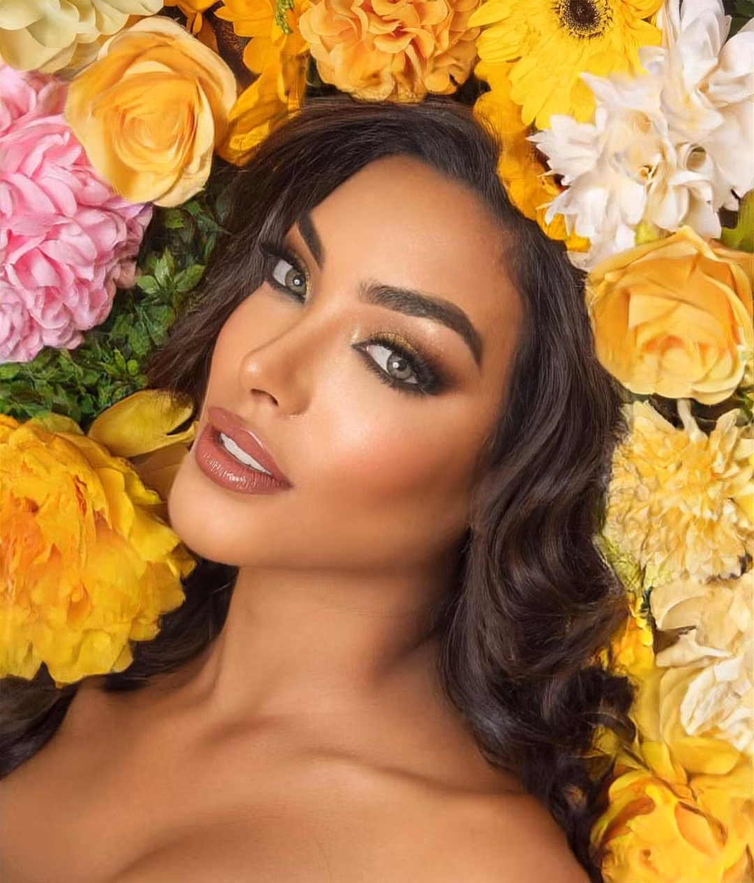 Karleys bắt đầu sự nghiệp thi hoa hậu tại cuộc thi Reinado de los Carnavales Turísticos de La Guaira 2023 với tư cách là đại diện của vùng Catia La Mar và giành vị trí Á hậu 1.