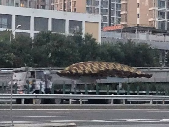 Lộ ảnh loạt khí tài Trung Quốc diễn tập giữa đêm trước lễ mừng quốc khánh ảnh 9