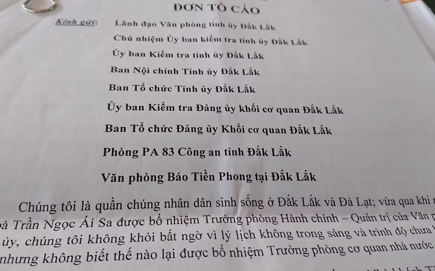 Nhân thân bất ngờ của nữ Trưởng phòng mạo danh ở Đắk Lắk ảnh 7