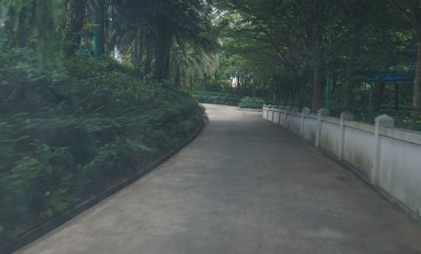Con đường dành cho các golfer đi lại xuyên qua những hàng cây xanh ngát Con đường dành cho các golfer đi lại xuyên qua những hàng cây xanh ngát