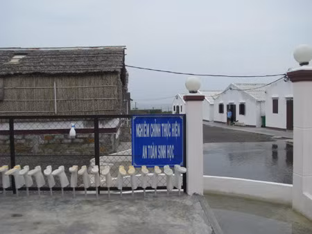 Khu nghiên cứu tôm bố mẹ của Công ty TNHH - Việt - Úc
