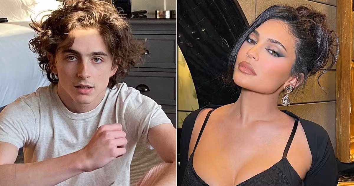 Timothee Chalamet được cho là đang hẹn hò Kylie Jenner.