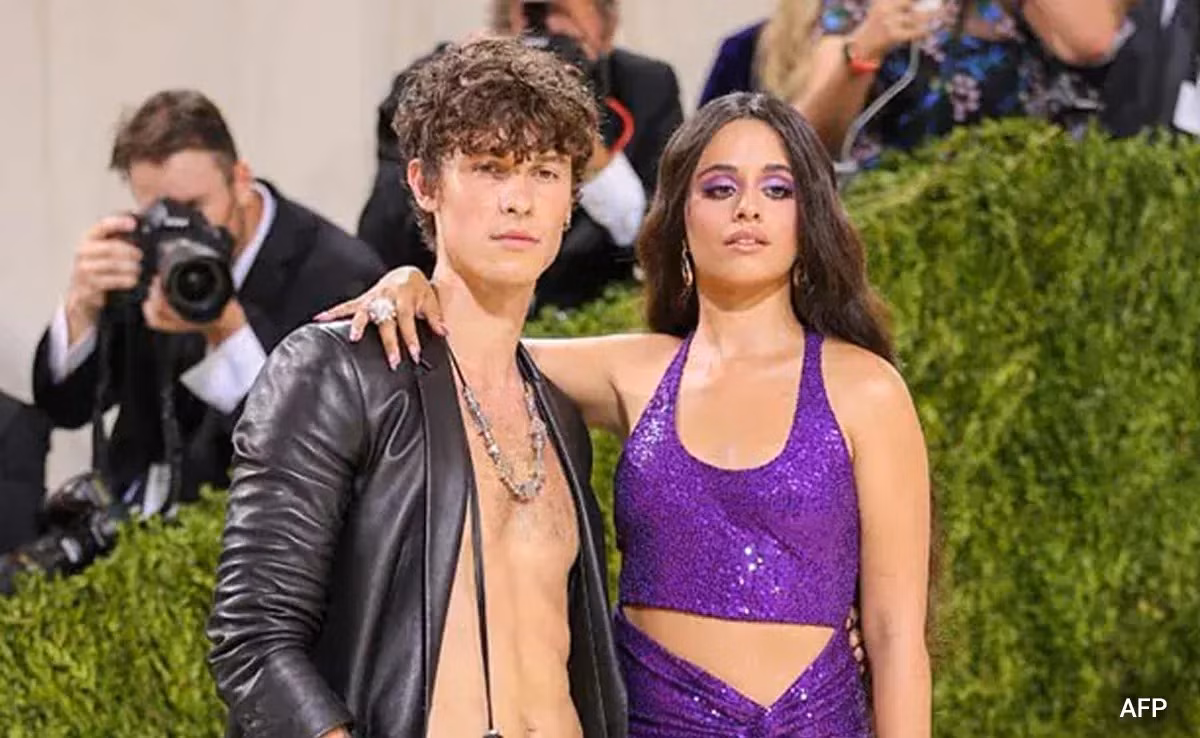 Shawn Mendes và Camila Cabello là cặp đôi nghệ sĩ US&amp;UK được fan Việt yêu thích.