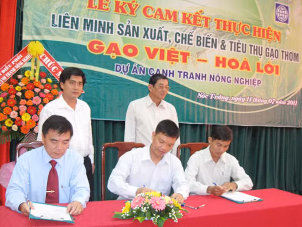 Ngày 11-7-2011 ra đời “Liên minh sản xuất, chế biến và tiêu thụ gạo thơm Ngọc Việt-Hòa Lời”