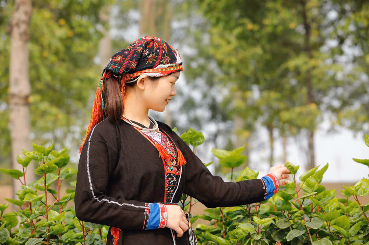 Huyền Trang ấp ủ nhiều dự định ý nghĩa cho quê hương và sự phát triển của cộng đồng người Dao. Huyền Trang ấp ủ nhiều dự định ý nghĩa cho quê hương và sự phát triển của cộng đồng người Dao.