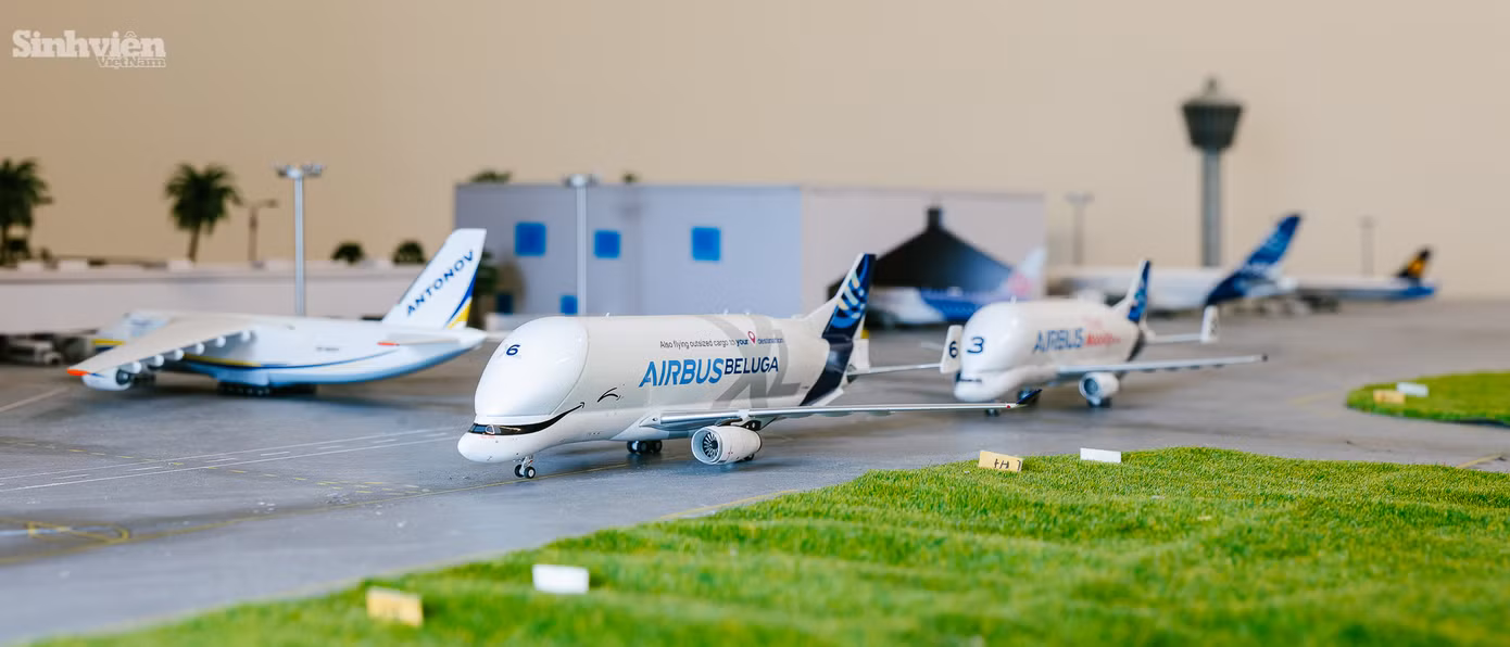 Trong số 200 mô hình, Dương dành tình cảm đặc biệt cho chiếc Airbus Beluga XL 6. "Đây là một mẫu máy bay rất đặc biệt, được thiết kế theo hình dáng cá voi trắng Beluga, chuyên chở linh kiện cho hãng Airbus. Mình ấn tượng với sự độc đáo và tính năng của nó." - Dương chia sẻ. Ngoài ra, cậu còn tự hào giới thiệu về chiếc máy bay "độc nhất vô nhị" do bản thân thiết kế màu sơn và decal. "Mình muốn tạo ra một chiếc máy bay mang đậm dấu ấn cá nhân, không trùng lặp với bất kỳ ai." - Dương chia sẻ.