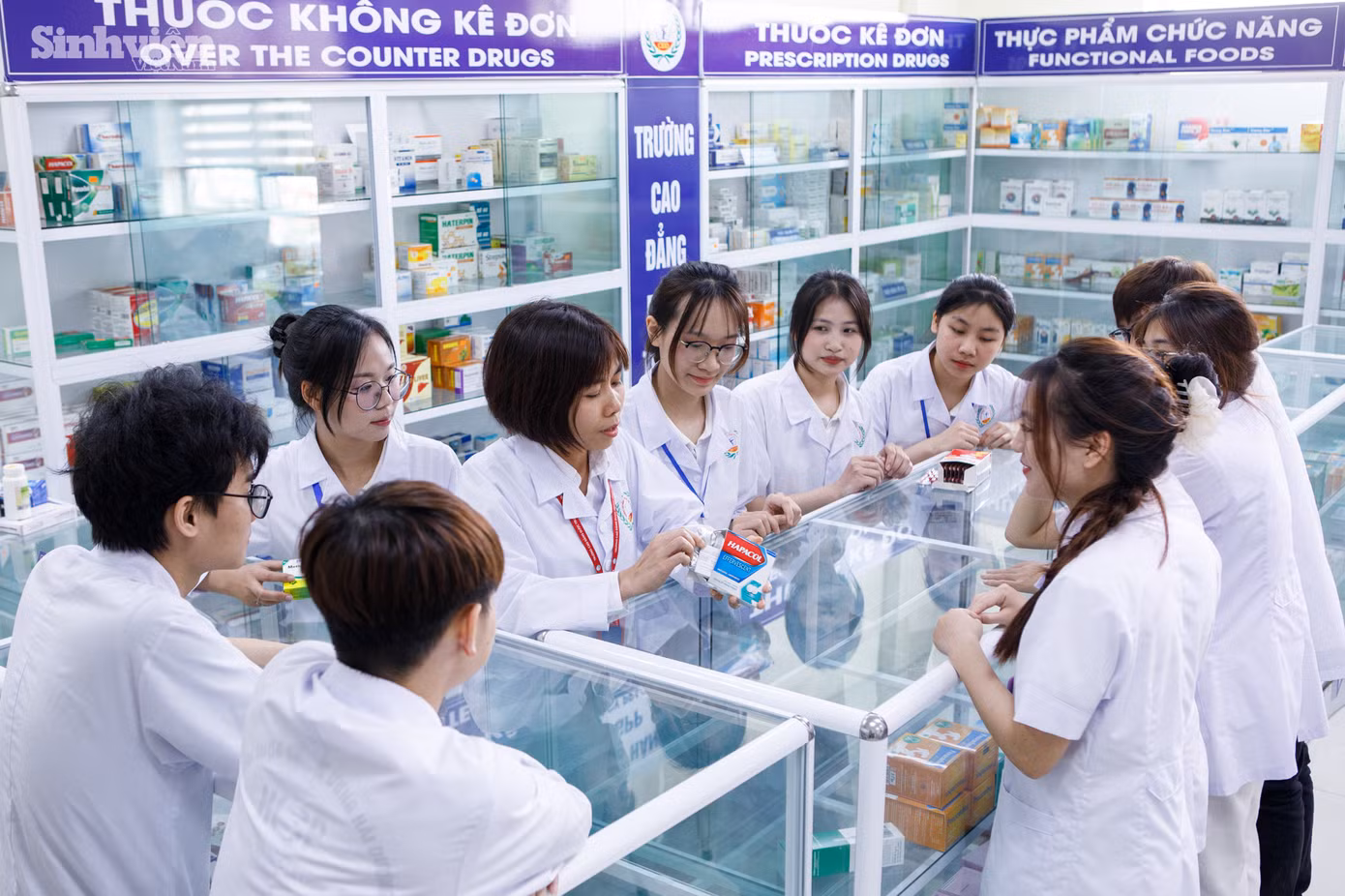 Chương trình đào tạo kết hợp lý thuyết và thực hành.