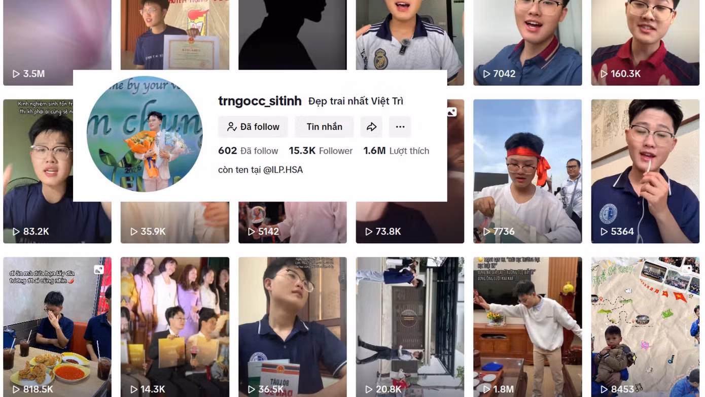 Kênh Tiktok của Minh Ngọc với hơn 1,6 triệu lượt thích.