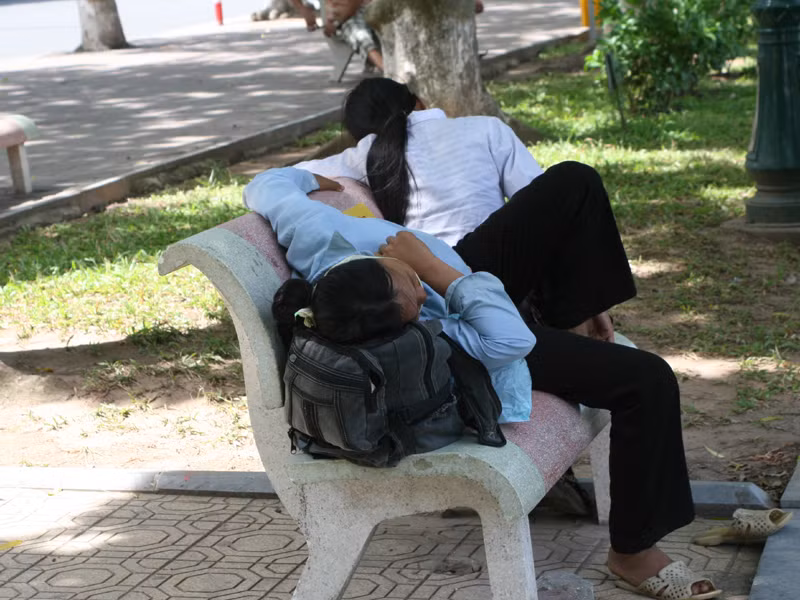 Mệt mỏi vì nắng nóng ảnh 2