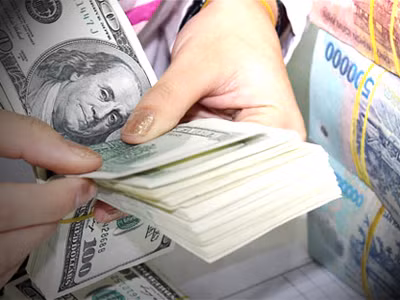 TS. Trịnh Quang Anh dự tính mục tiêu giữ ổn định tỷ giá USD/VND năm 2014 vẫn tiếp tục trong khoảng 2-3%. Và ông cũng nhìn nhận Ngân hàng Nhà nước chỉ còn “chút xíu” dư địa lãi suất tiền gửi USD để phòng thân, đặt trong yêu cầu bình ổn lãi suất VND và giữ chênh lệch hấp dẫn.