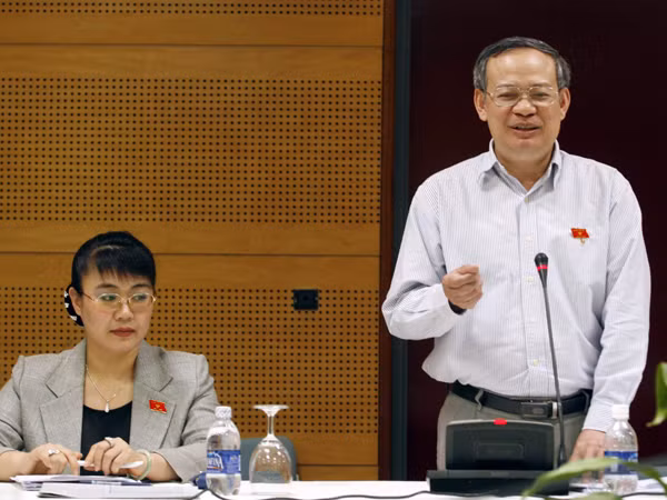 ĐB Đinh Xuân Thảo phát biểu ý kiến. Ảnh: Hồng Vĩnh