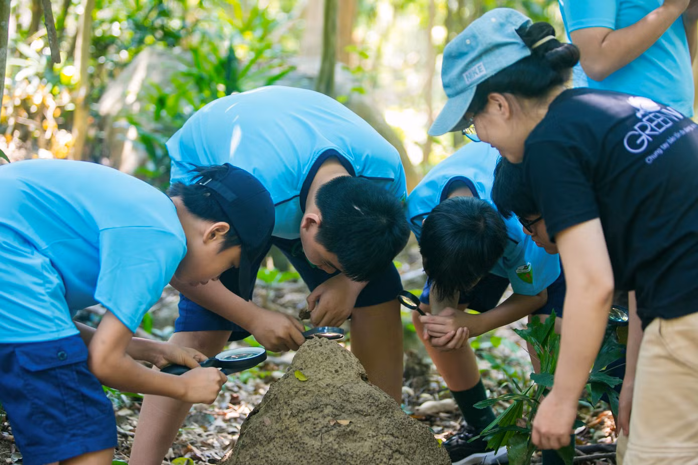 Thông qua những bài học từ tự nhiên, tình yêu môi trường được gieo mầm trong các bạn học sinh Thông qua những bài học từ tự nhiên, tình yêu môi trường được gieo mầm trong các bạn học sinh