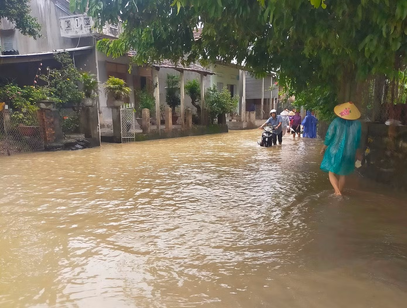 Mưa lũ làm ngập cục bộ đường đi lại xã An Cư, huyện Tuy An vào sáng 17/11. Ảnh: M.N.