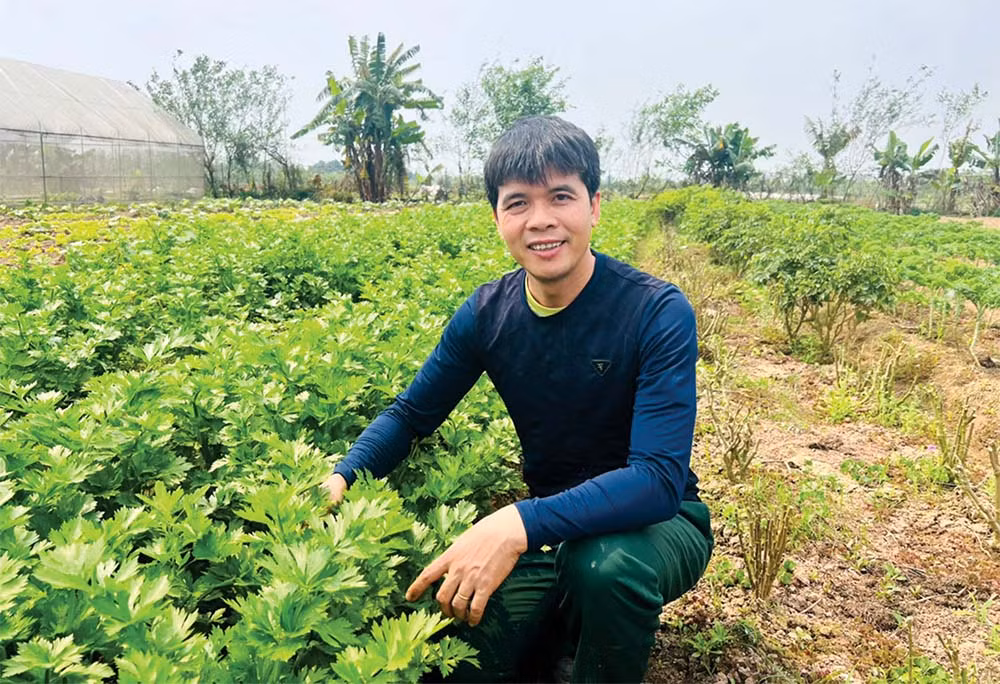 Anh Nguyễn Đức Chinh chăm sóc khu vườn canh tác hữu cơ ven sông Đáy. Anh Nguyễn Đức Chinh chăm sóc khu vườn canh tác hữu cơ ven sông Đáy.