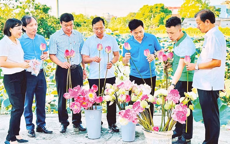 Mô hình Chè ướp sen tại thôn Nguyễn Xá, xã Phương Tú (huyện Ứng Hòa) đạt tiêu chuẩn OCOP 3 sao. Mô hình Chè ướp sen tại thôn Nguyễn Xá, xã Phương Tú (huyện Ứng Hòa) đạt tiêu chuẩn OCOP 3 sao.