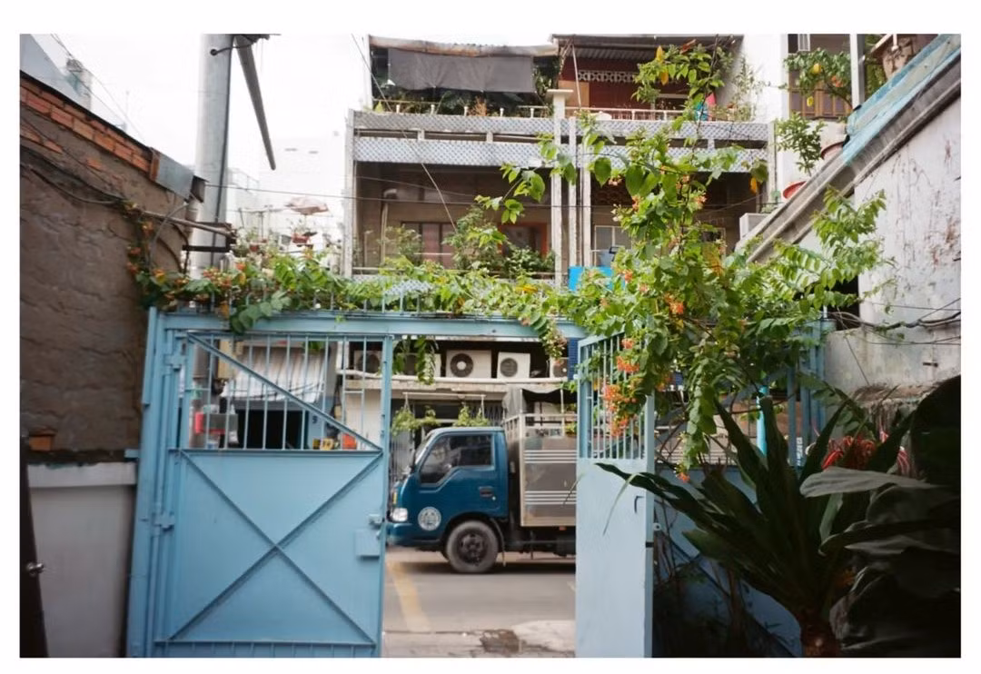 Khu vườn nhỏ xinh của LLab nằm giữa trung tâm thành phố. (Ảnh: Instagram @rothnik_croft)