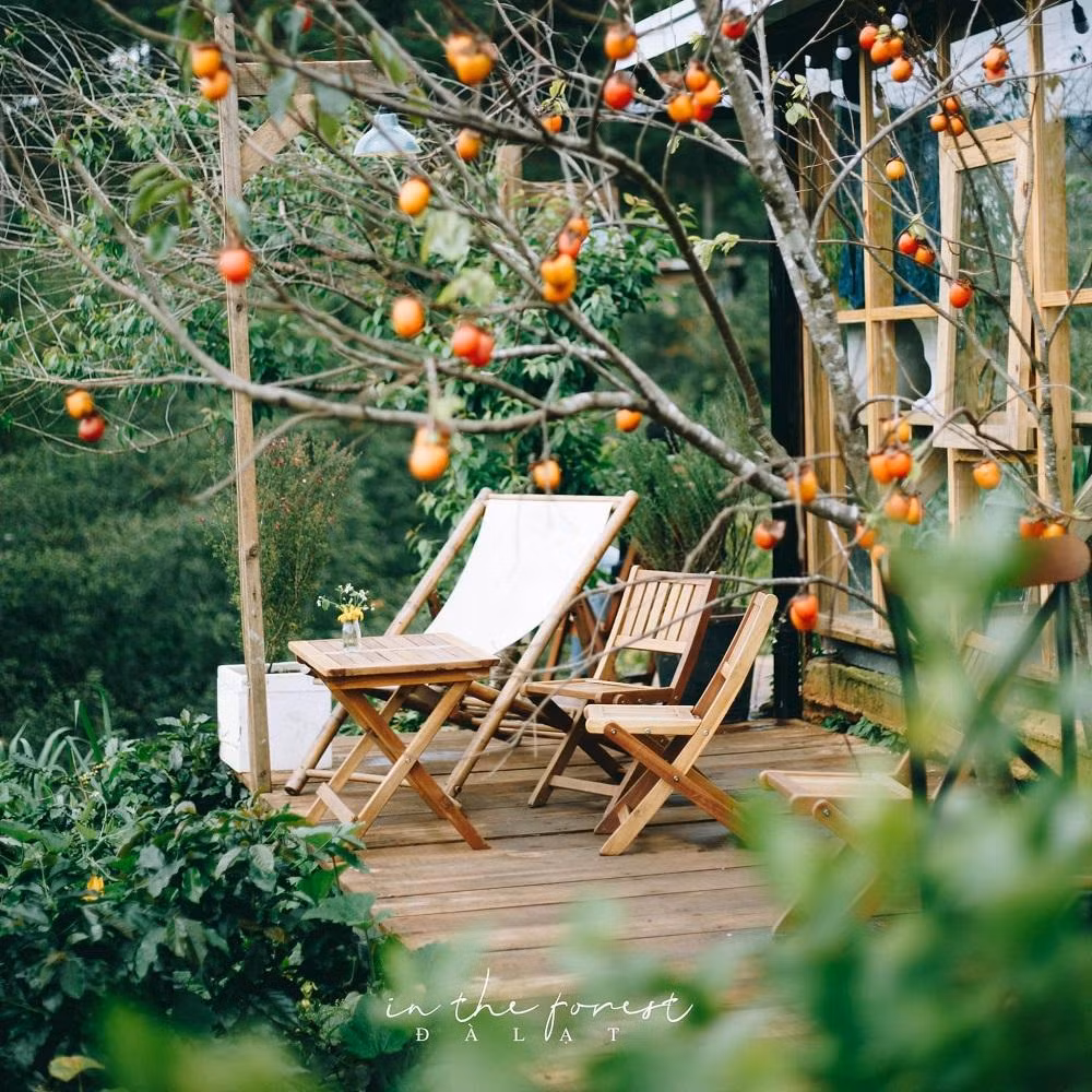 Ảnh: In The Forest.