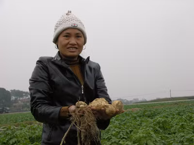 Cần mở rộng hạn mức và kéo dài thời gian giao đất cho nông dân