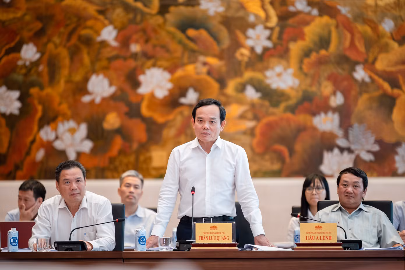 Phó Thủ tướng Chính phủ Trần Lưu Quang Phó Thủ tướng Chính phủ Trần Lưu Quang