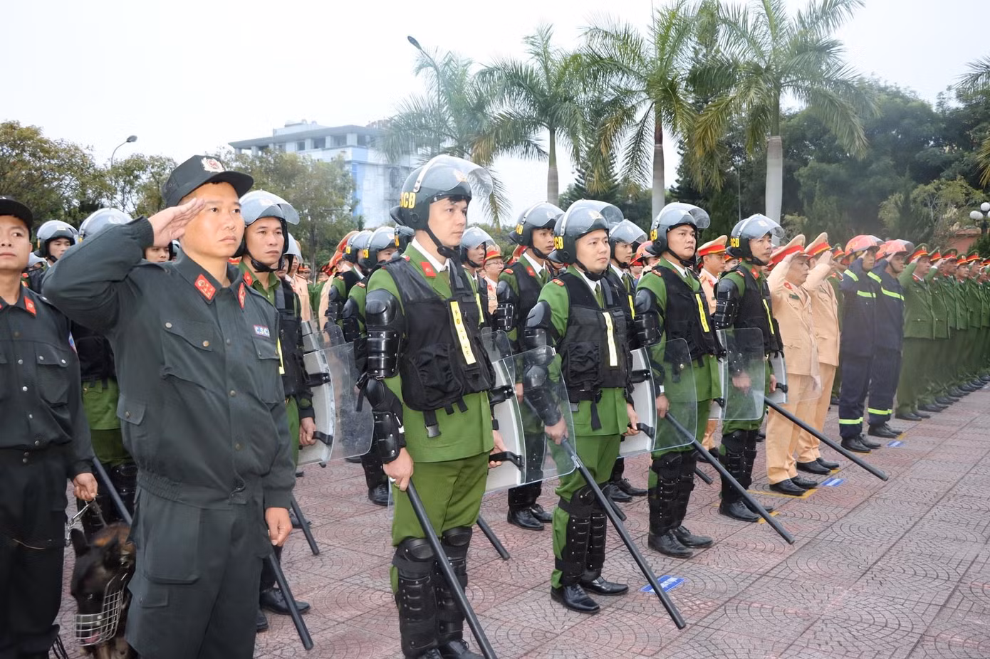 Đợt ra quân tập trung vào các đối tượng, băng nhóm tội phạm ma túy, xâm phạm sở hữu, tín dụng đen.