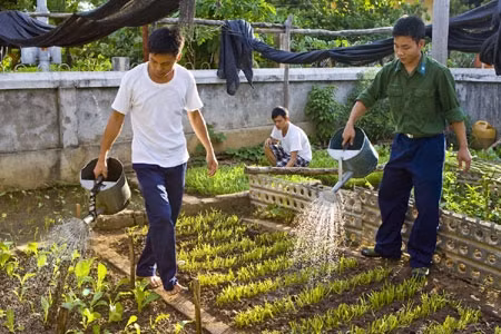 Tăng gia cải thiện đời sống ở đảo Trường Sa Lớn