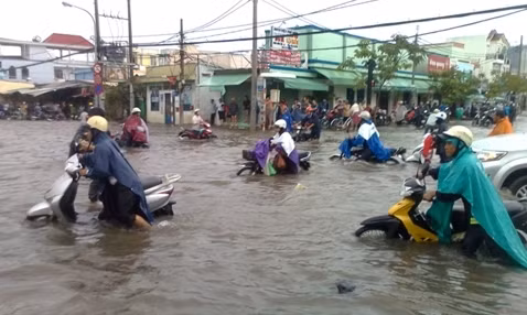 Vượt triều cường