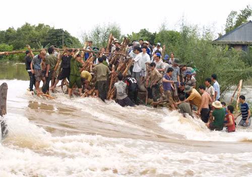 Ra sức chống chọi tại đoạn đê bị bể ở tuyến Kinh 8, xã Thạnh Mỹ Tây (Châu Phú, An Giang)