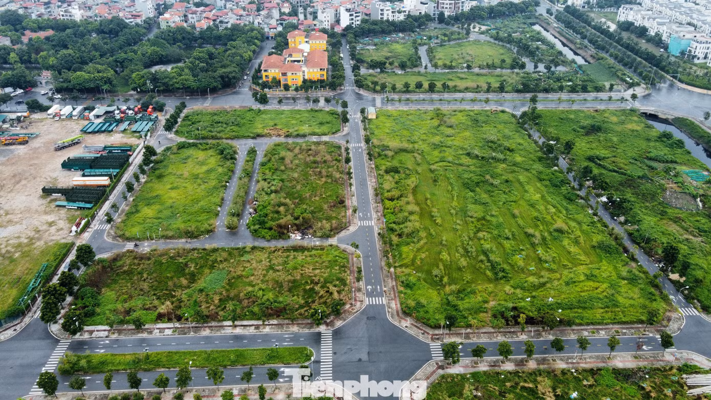 Luật Đất đai mới quy định bảng giá đất được xây dựng hằng năm và bảng giá đất lần đầu được công bố và áp dụng từ ngày 1/1/2026.