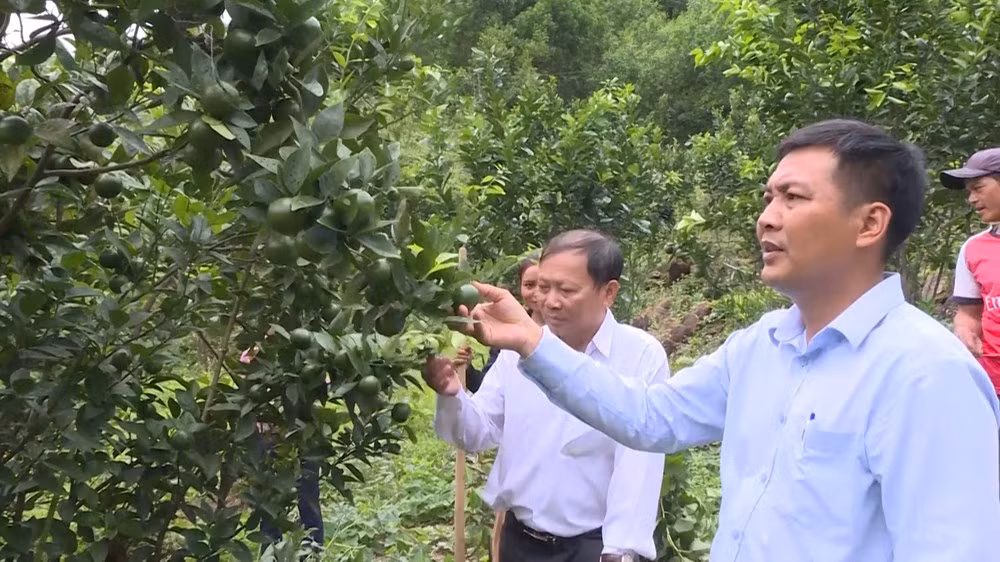 Hỗ trợ sinh kế gắn với chuỗi giá trị, chuyển đổi mô hình phù hợp với biến đổi khí hậu. Hỗ trợ sinh kế gắn với chuỗi giá trị, chuyển đổi mô hình phù hợp với biến đổi khí hậu.