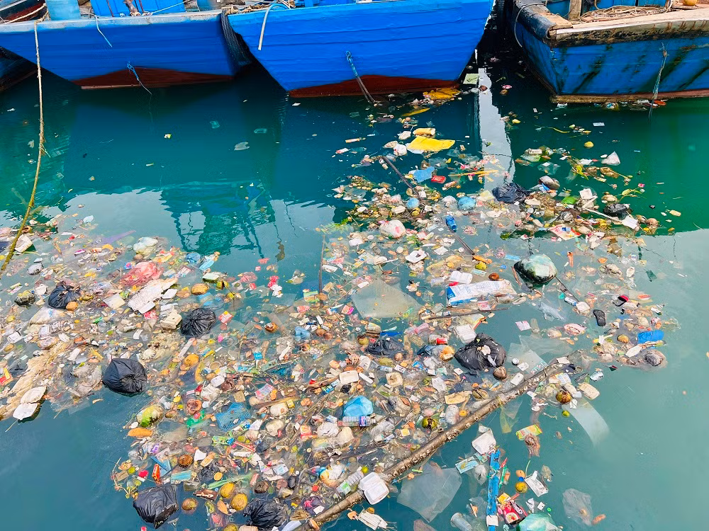 “Đặc biệt, mỗi khi trời có gió mạnh, mùi hôi thối bay vào nhà khiến nhiều người dân rất bức xúc. Người dân mong muốn các ngành chức năng sớm ra quân thu dọn rác thải và trục vớt các xác tàu cá bỏ lại trên mặt nước cảng Sa Huỳnh, để tạo cảnh quan, môi trường trong sạch ở khu vực này”, chị Chung nói thêm. (Ảnh: Nguyễn Ngọc)