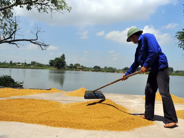 Mỗi người Việt đã gánh 800 USD nợ công. Ảnh minh họa: Công Khanh