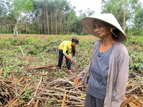 Bà Nguyễn Thị Mía: “Mơ thấy cầu rồi chết”