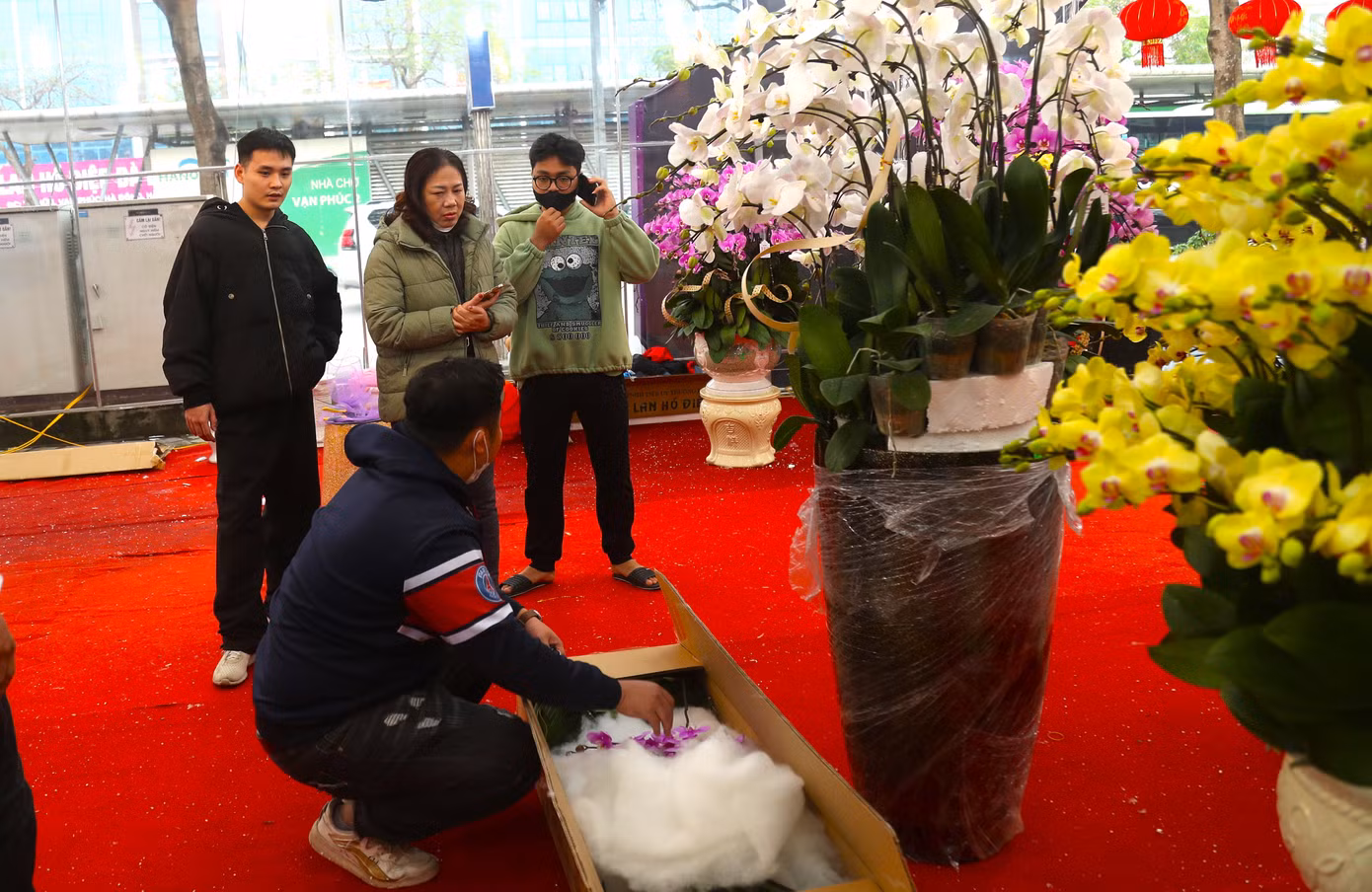 Vào những ngày này, khách đã bắt đầu đến xem và mua lan nhiều hơn. Vào những ngày này, khách đã bắt đầu đến xem và mua lan nhiều hơn.