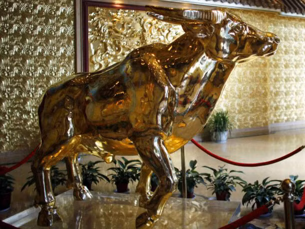 Tượng bò làm bằng 1 tấn vàng khối. Tượng bò làm bằng 1 tấn vàng khối