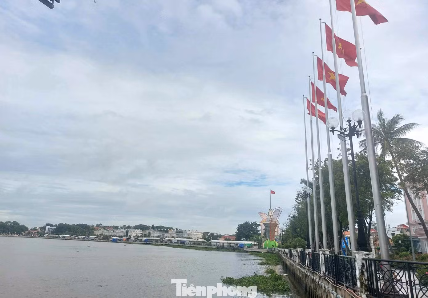 Công trình hoa dầu này được xây dựng tại phố đi bộ đường Bạch Đằng nối dài ven sông Sài Gòn có chiều dài gần 1km đã được đầu tư xây dựng trước đó khoảng 650 tỷ đồng.