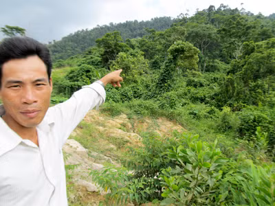 Rừng tự nhiên ở Quế Lâm. Ảnh: Nam Cường