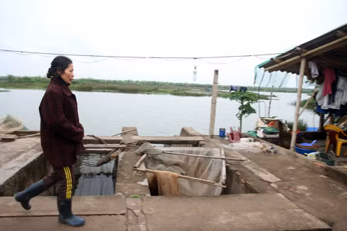 Thiếu nhân lực, hầu hết diện tích đầm tôm của nhà ông Vươn vẫn chưa được nuôi trồng trở lại. Ảnh: Nguyễn Hưng.