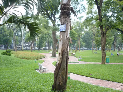 Hàng ngàn m2 trong công viên Thống Nhất sắp bị cắt xén cho dự án bãi đỗ xe. Ảnh: Trọng Đảng. Hàng ngàn m2 trong công viên Thống Nhất sắp bị cắt xén cho dự án bãi đỗ xe. Ảnh: Trọng Đảng